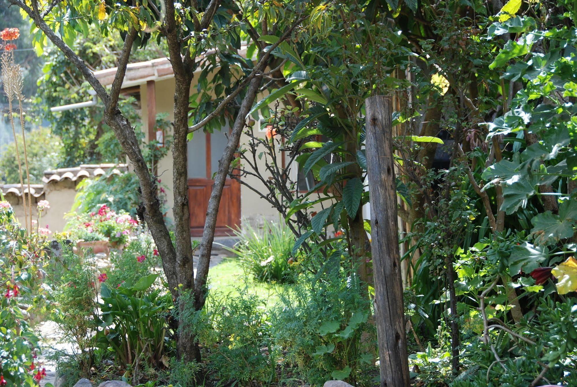Hostal Iskay Ollantaytambo Bagian luar foto