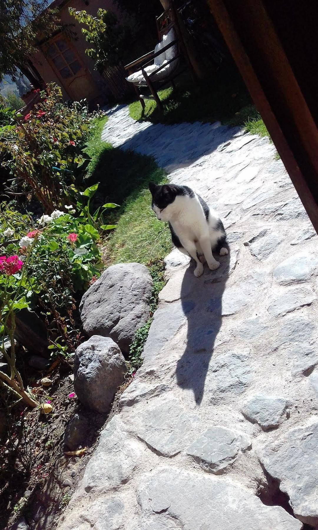 Hostal Iskay Ollantaytambo Bagian luar foto