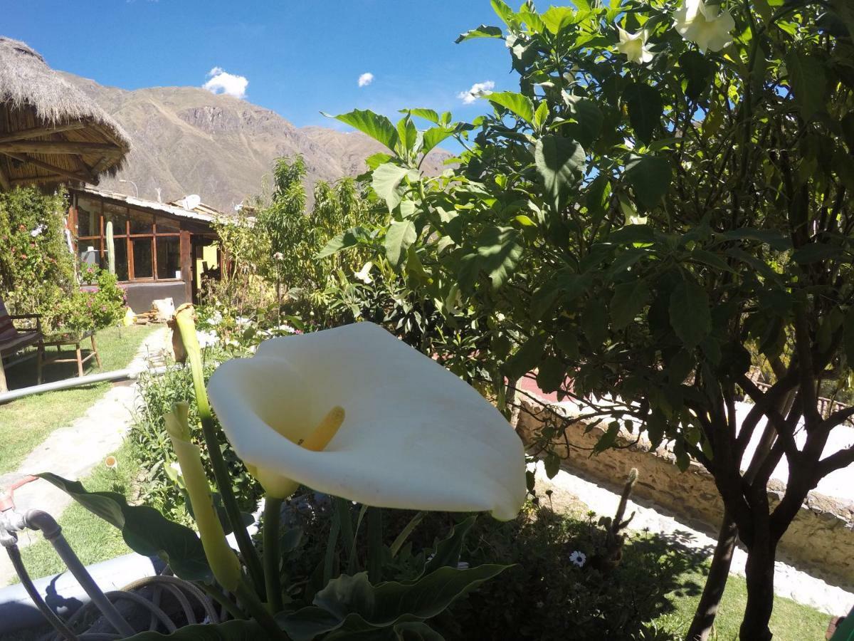Hostal Iskay Ollantaytambo Bagian luar foto